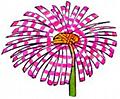 Marguerite