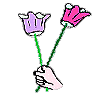 Tulipes