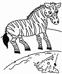 Z&egrave;bre